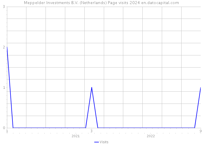 Meppelder Investments B.V. (Netherlands) Page visits 2024 