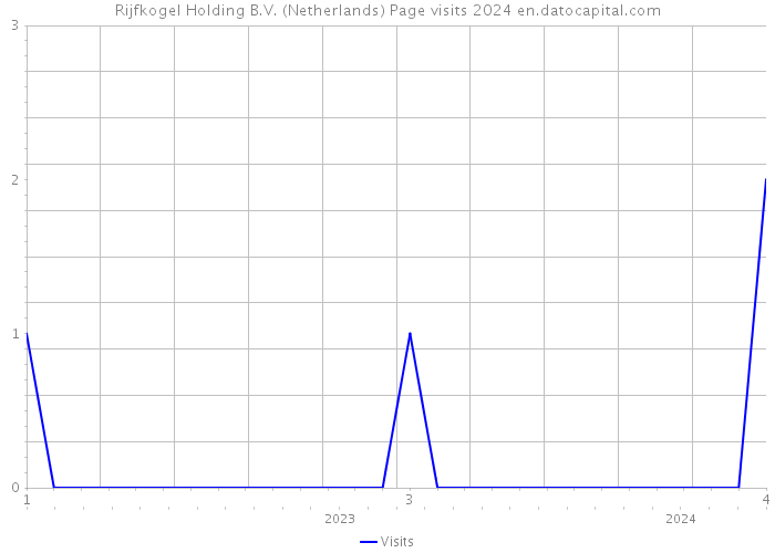 Rijfkogel Holding B.V. (Netherlands) Page visits 2024 