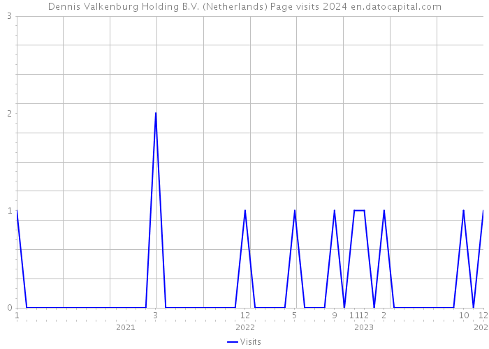 Dennis Valkenburg Holding B.V. (Netherlands) Page visits 2024 