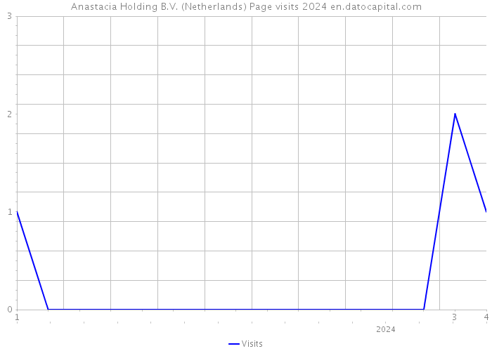 Anastacia Holding B.V. (Netherlands) Page visits 2024 