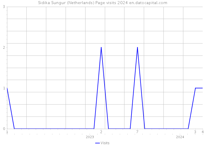 Sidika Sungur (Netherlands) Page visits 2024 