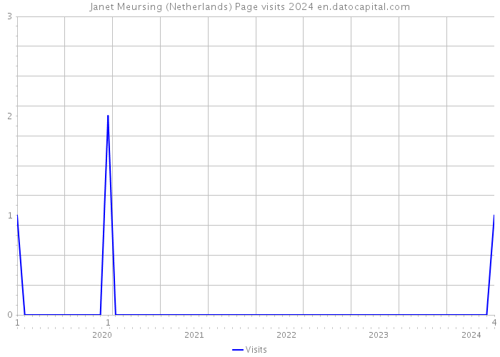 Janet Meursing (Netherlands) Page visits 2024 