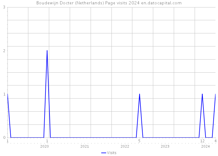 Boudewijn Docter (Netherlands) Page visits 2024 