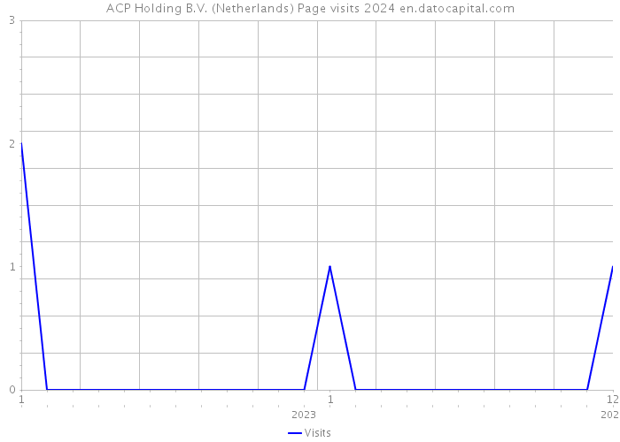 ACP Holding B.V. (Netherlands) Page visits 2024 
