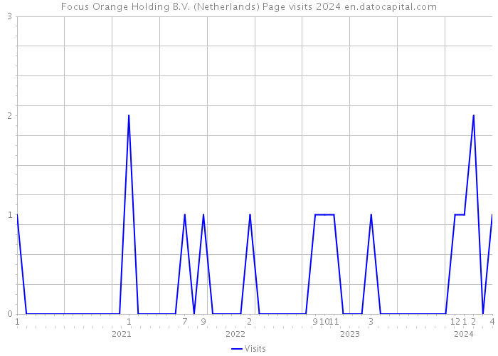 Focus Orange Holding B.V. (Netherlands) Page visits 2024 
