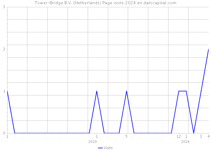 Tower-Bridge B.V. (Netherlands) Page visits 2024 