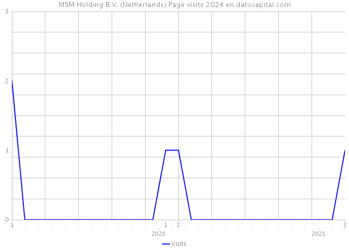 MSM Holding B.V. (Netherlands) Page visits 2024 