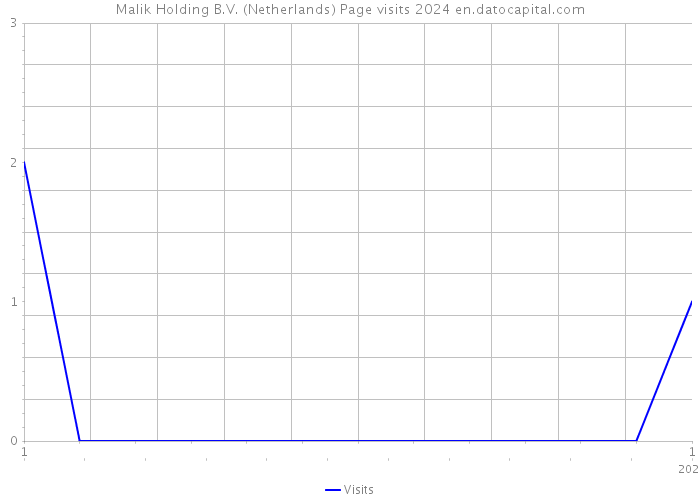 Malik Holding B.V. (Netherlands) Page visits 2024 