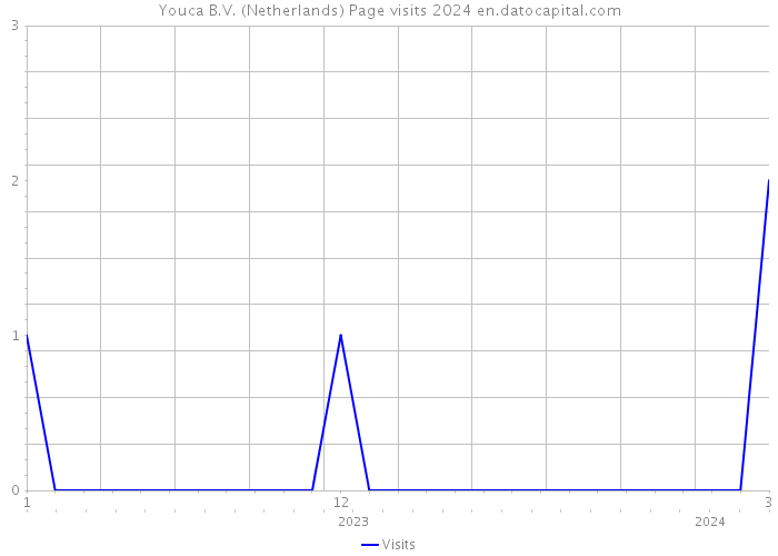 Youca B.V. (Netherlands) Page visits 2024 