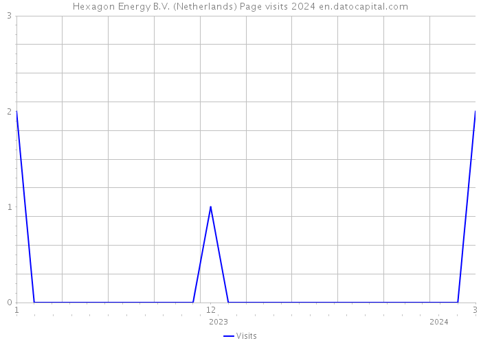 Hexagon Energy B.V. (Netherlands) Page visits 2024 