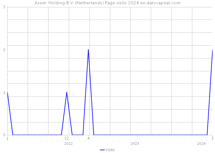 Asset+ Holding B.V. (Netherlands) Page visits 2024 