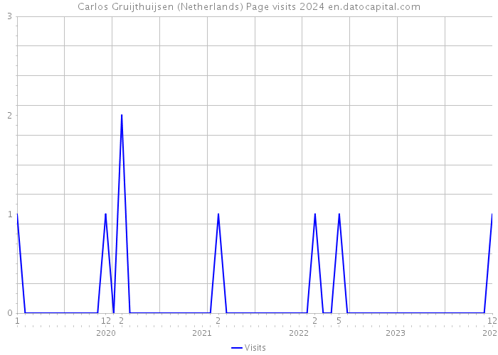 Carlos Gruijthuijsen (Netherlands) Page visits 2024 