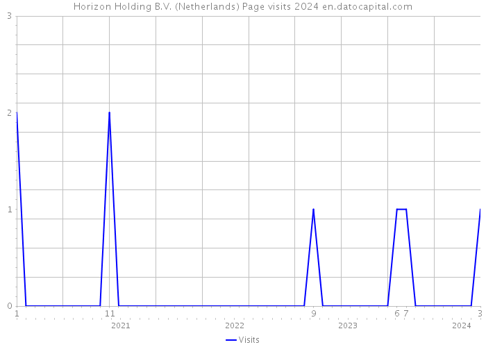Horizon Holding B.V. (Netherlands) Page visits 2024 