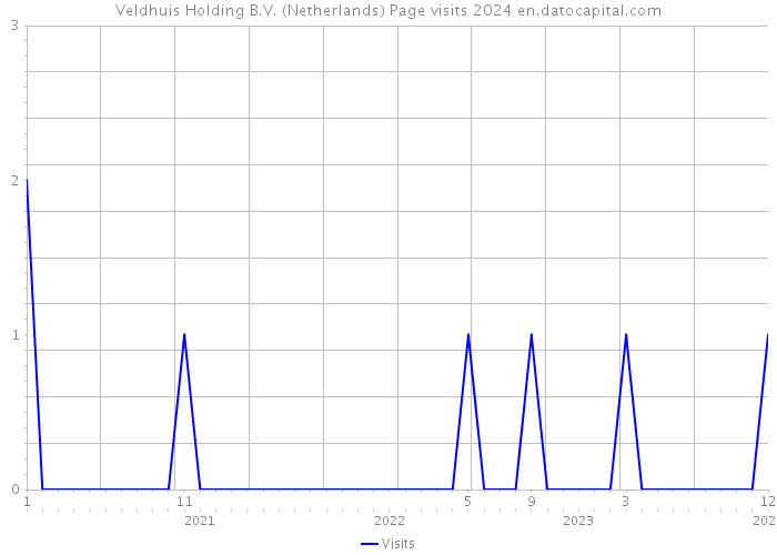Veldhuis Holding B.V. (Netherlands) Page visits 2024 