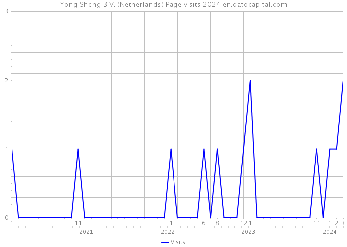 Yong Sheng B.V. (Netherlands) Page visits 2024 