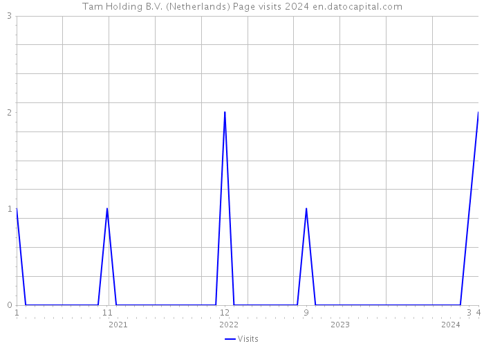 Tam Holding B.V. (Netherlands) Page visits 2024 