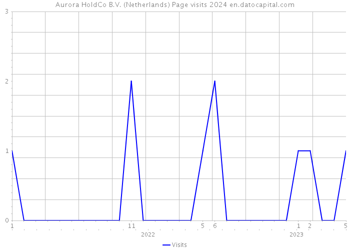 Aurora HoldCo B.V. (Netherlands) Page visits 2024 