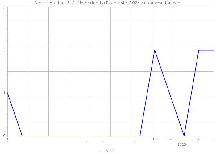 Amrak Holding B.V. (Netherlands) Page visits 2024 