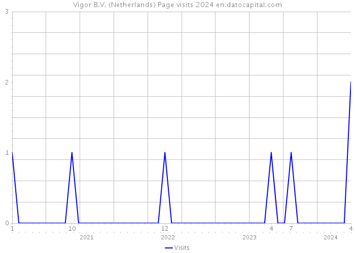 Vigor B.V. (Netherlands) Page visits 2024 