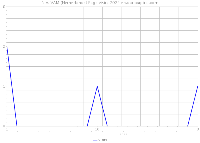 N.V. VAM (Netherlands) Page visits 2024 