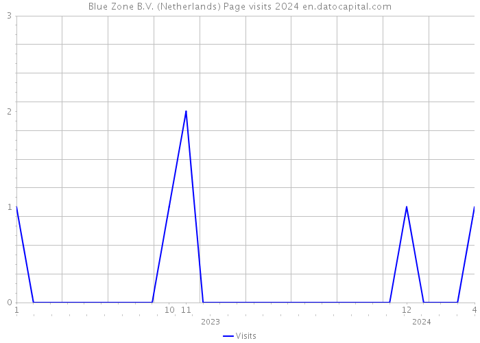Blue Zone B.V. (Netherlands) Page visits 2024 
