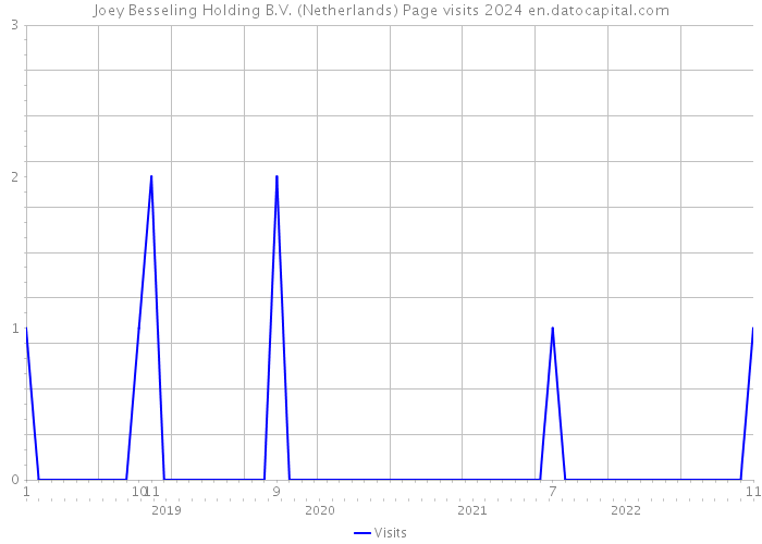 Joey Besseling Holding B.V. (Netherlands) Page visits 2024 