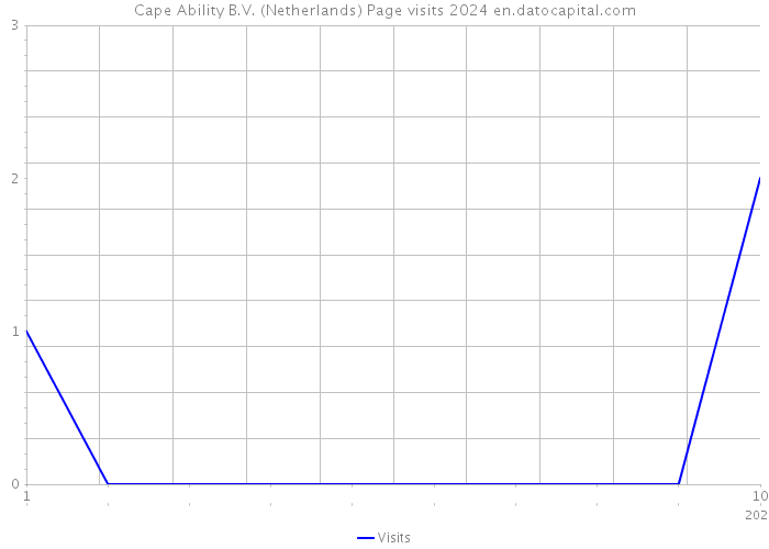 Cape Ability B.V. (Netherlands) Page visits 2024 