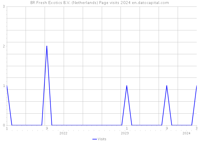 BR Fresh Exotics B.V. (Netherlands) Page visits 2024 