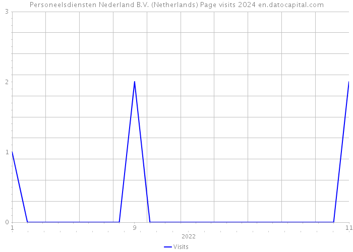 Personeelsdiensten Nederland B.V. (Netherlands) Page visits 2024 