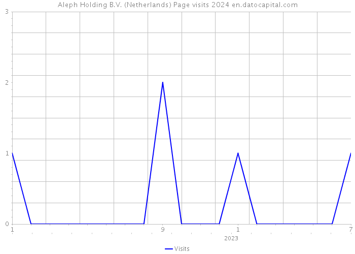 Aleph Holding B.V. (Netherlands) Page visits 2024 