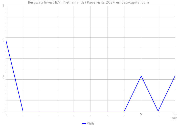 Bergweg Invest B.V. (Netherlands) Page visits 2024 