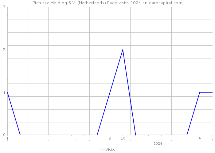 Picturae Holding B.V. (Netherlands) Page visits 2024 