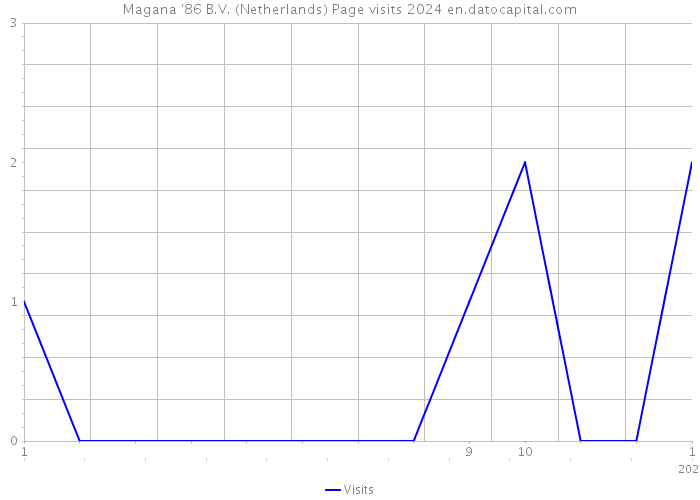 Magana '86 B.V. (Netherlands) Page visits 2024 