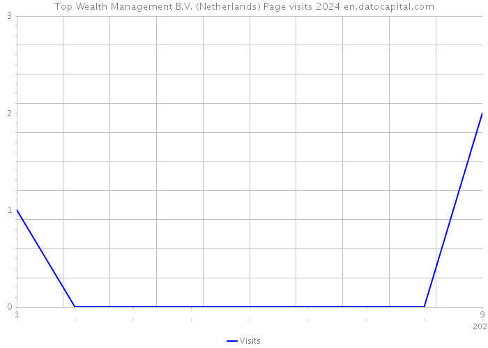 Top Wealth Management B.V. (Netherlands) Page visits 2024 