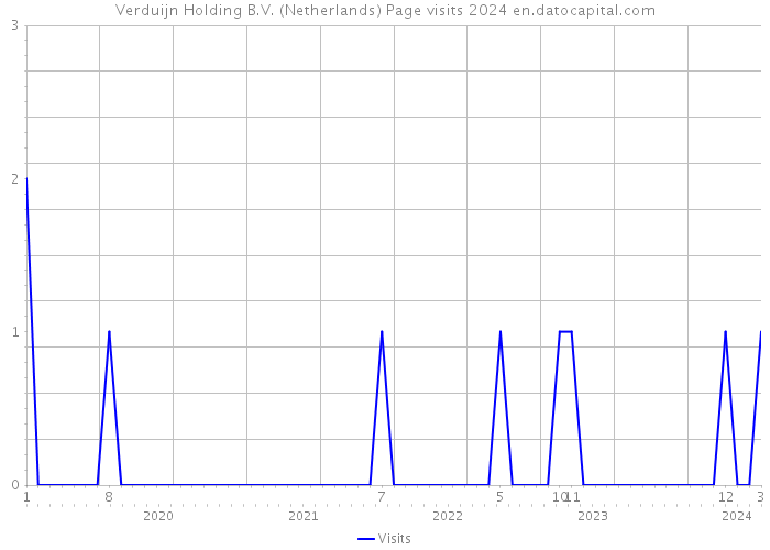Verduijn Holding B.V. (Netherlands) Page visits 2024 