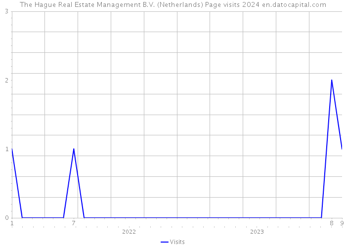 The Hague Real Estate Management B.V. (Netherlands) Page visits 2024 