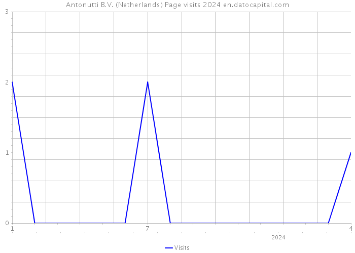 Antonutti B.V. (Netherlands) Page visits 2024 