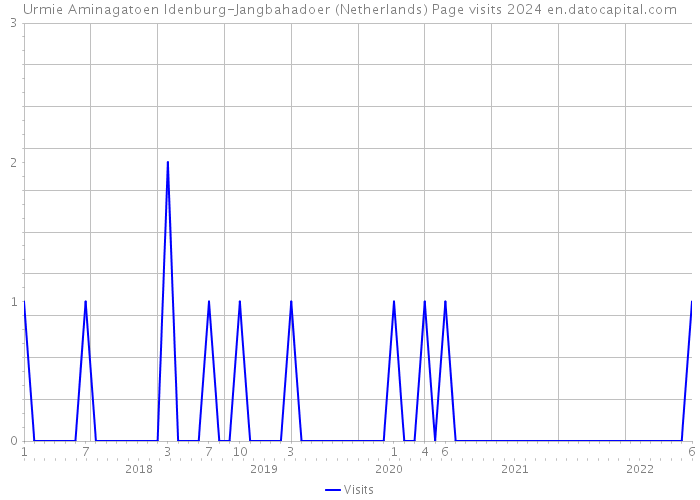 Urmie Aminagatoen Idenburg-Jangbahadoer (Netherlands) Page visits 2024 