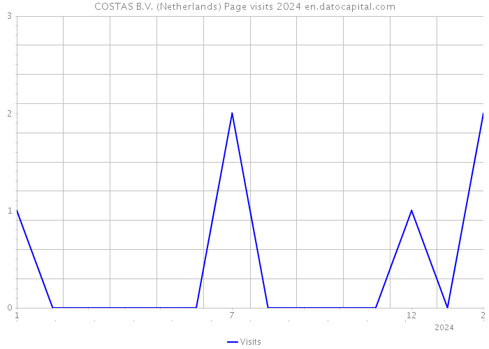 COSTAS B.V. (Netherlands) Page visits 2024 