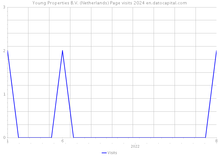 Young Properties B.V. (Netherlands) Page visits 2024 
