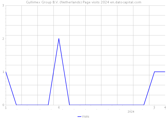 Gullimex Group B.V. (Netherlands) Page visits 2024 
