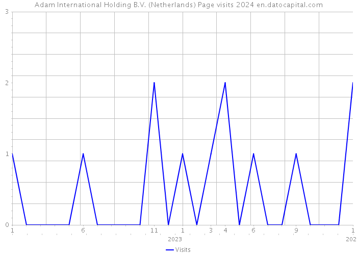 Adam International Holding B.V. (Netherlands) Page visits 2024 