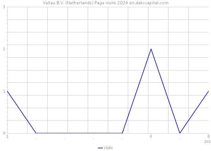 Vallau B.V. (Netherlands) Page visits 2024 