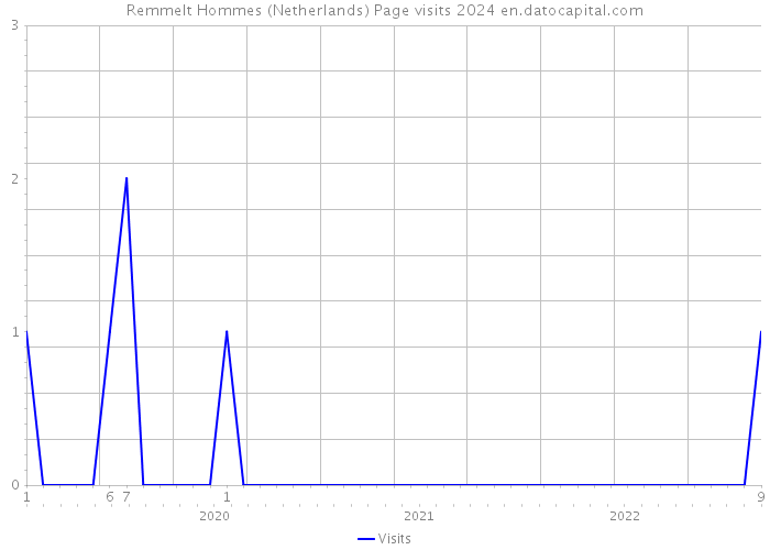 Remmelt Hommes (Netherlands) Page visits 2024 