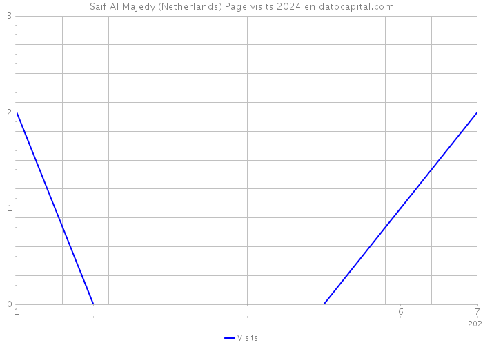 Saif Al Majedy (Netherlands) Page visits 2024 