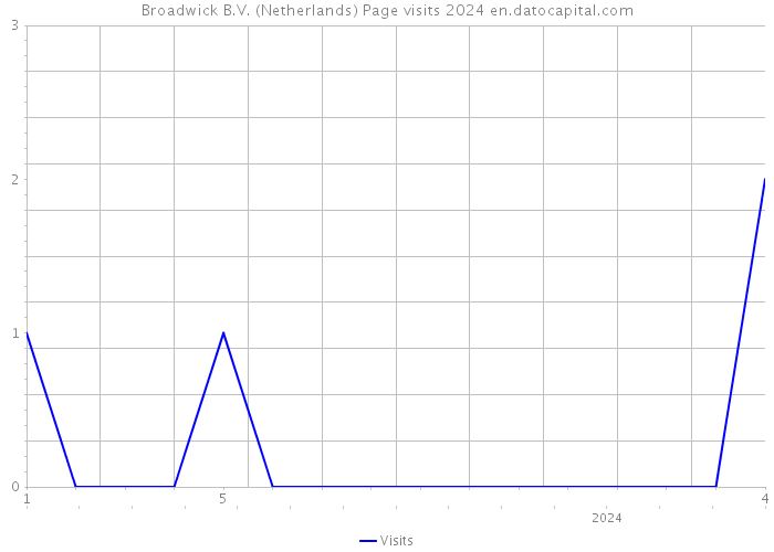 Broadwick B.V. (Netherlands) Page visits 2024 