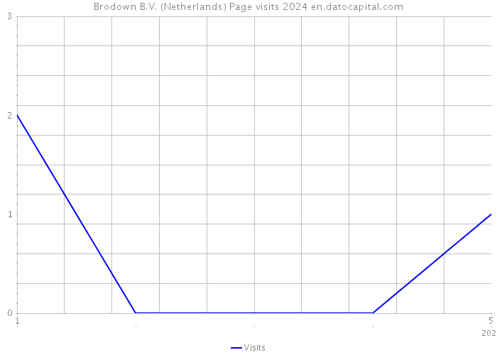 Brodown B.V. (Netherlands) Page visits 2024 