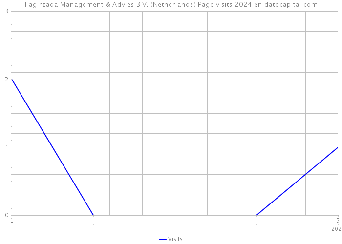 Fagirzada Management & Advies B.V. (Netherlands) Page visits 2024 