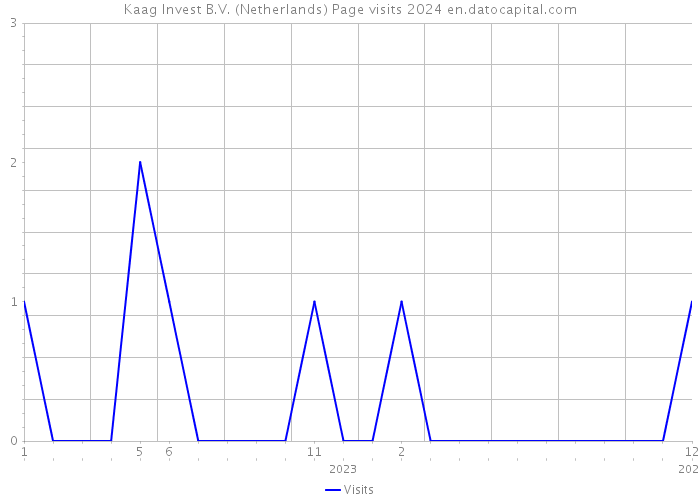 Kaag Invest B.V. (Netherlands) Page visits 2024 