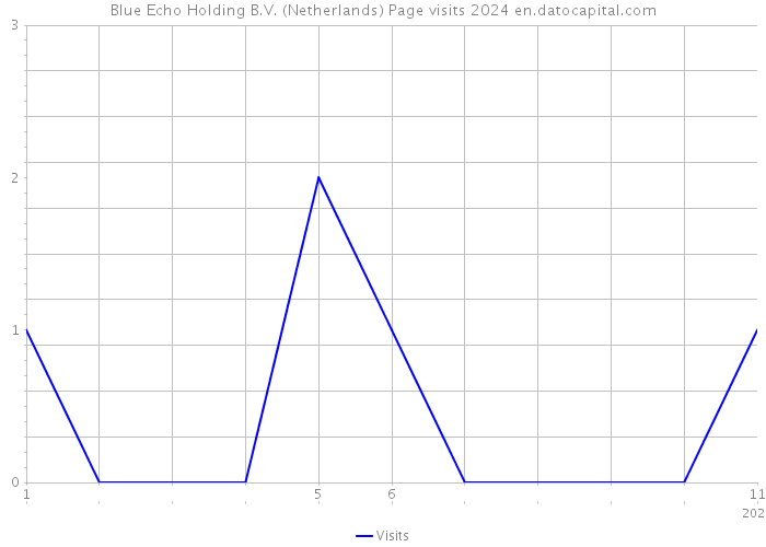 Blue Echo Holding B.V. (Netherlands) Page visits 2024 